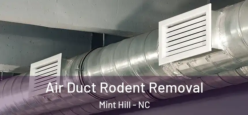  Air Duct Rodent Removal Mint Hill - NC