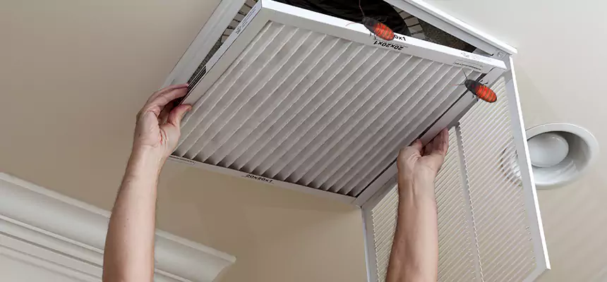 Preventive Cockroach-Proofing for Ducts in Mint Hill