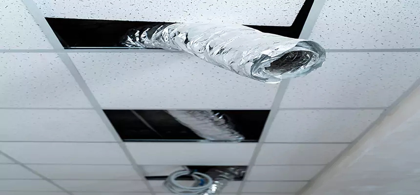 Our Air Duct Pet Hair Removal Services in Mint Hill, NC