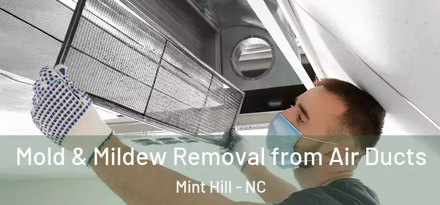 Mold & Mildew Removal from Air Ducts Mint Hill - NC