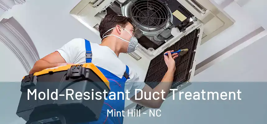  Mold-Resistant Duct Treatment Mint Hill - NC