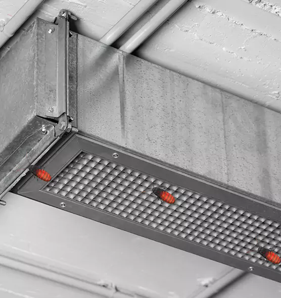 Affordable Insect Removal from Air Ducts in Mint Hill, NC