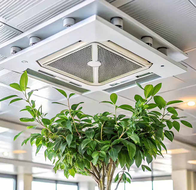 Why Homeowners & Businesses Trust Us in Mint Hill, NC?